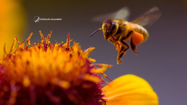 Die Geschichte des Bienengifts: Wie Bienengift die Medizin seit Jahrhunderten prägt